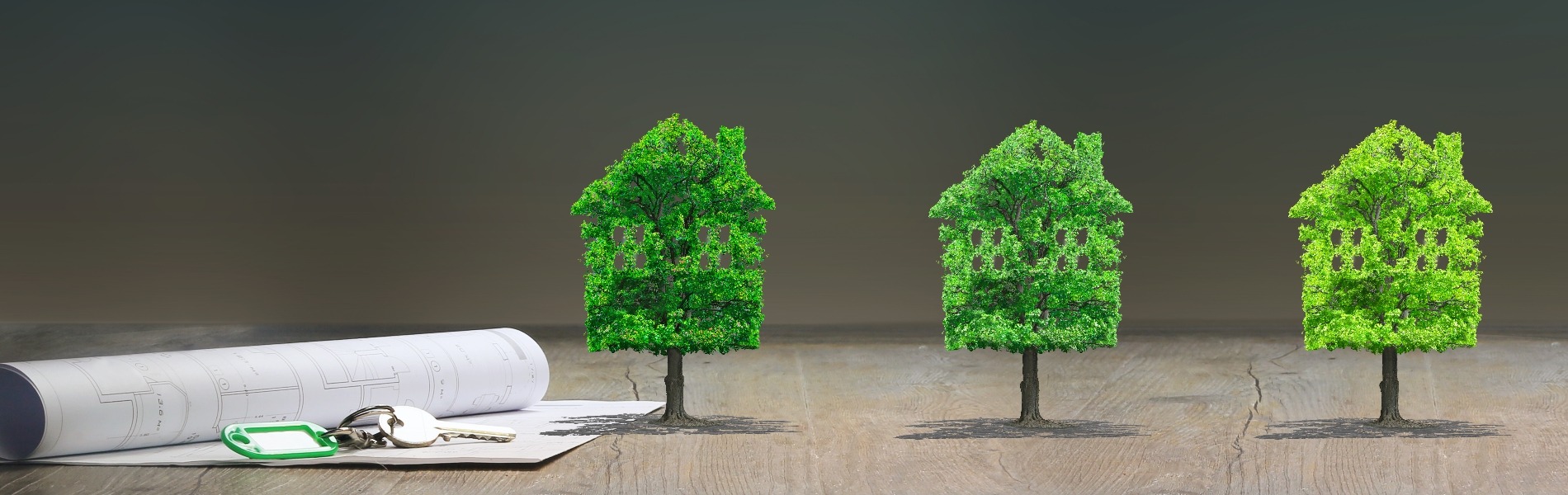 Stakeholder engagment crucial for energy plans