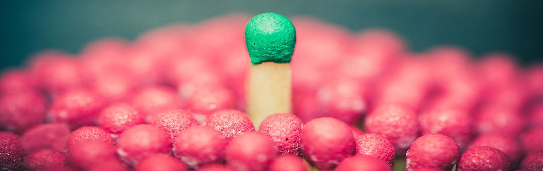 guest blog - great leaders tell great stories