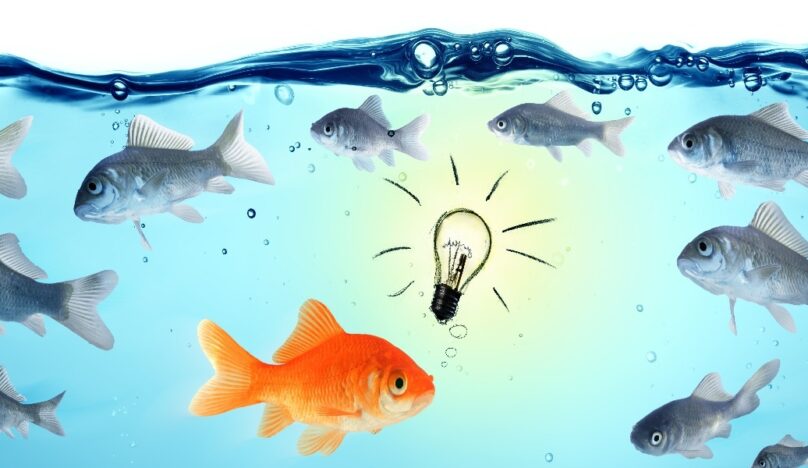Top tips on thought leadership