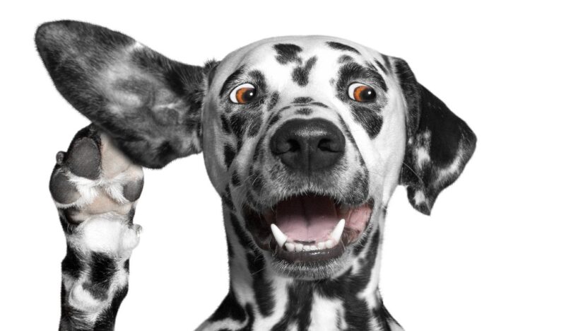 Social marketing means listening not just talking