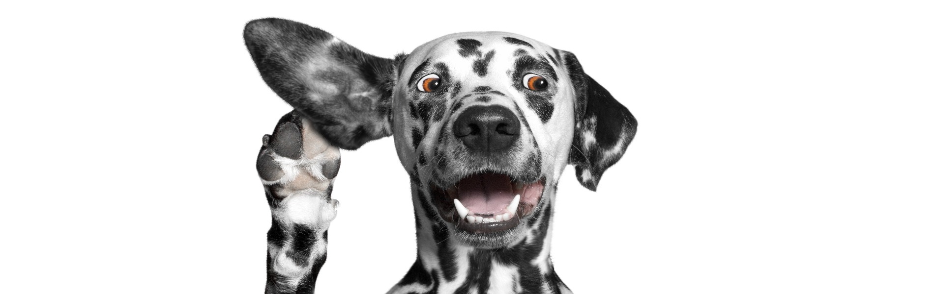 Social marketing means listening not just talking
