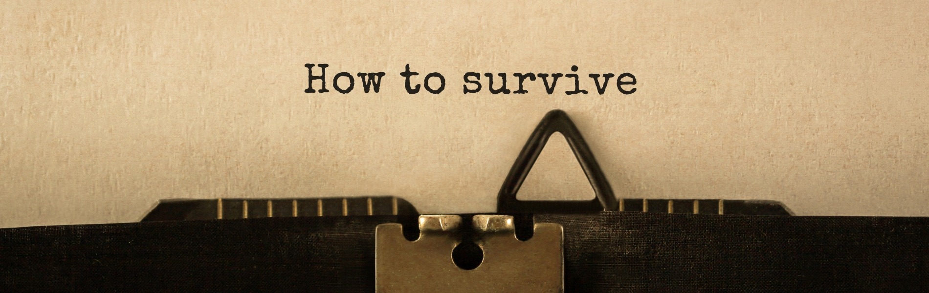 Surviving the content marketing jungle