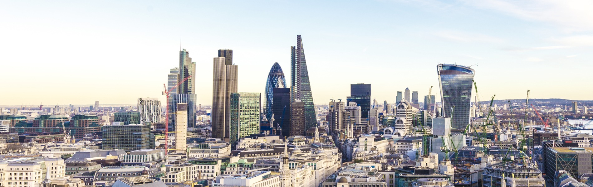 Sherwin Williams case study by Freshfield London Skyline, The Gherkin, The Cheesegrater and The walkie talkie