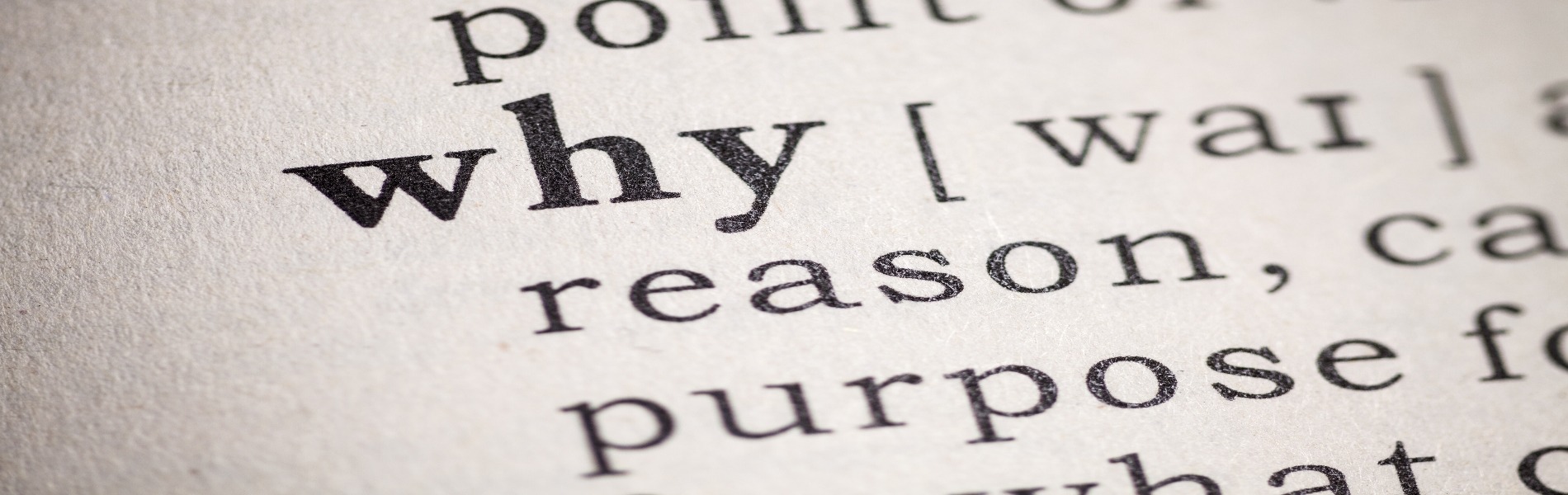 Why Simon Sinek’s WHY is crucial for your business