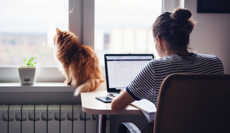 An employee working from home on a laptop