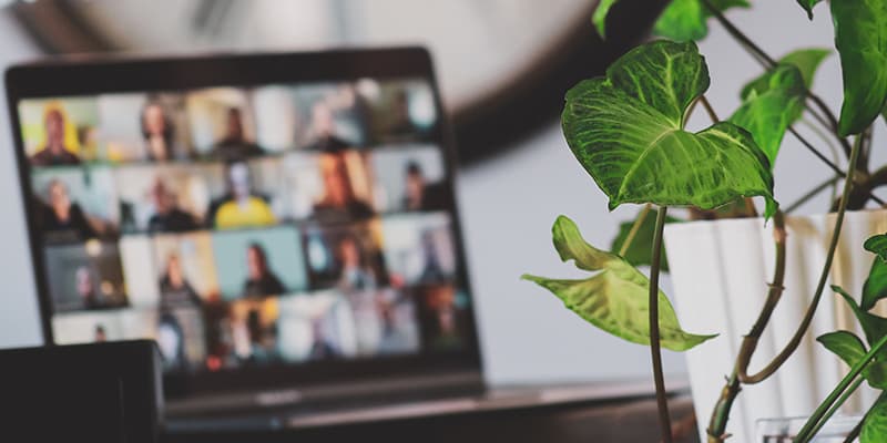 A laptop displaying a Zoom call, infront of a plant, in the offices of purpose-led PR and marketing communications company Freshfield.